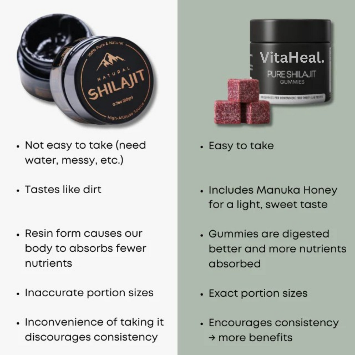 Himalayan Energy & Vitality Formula